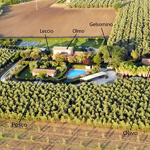 Podere Campi Al Mare Donoratico